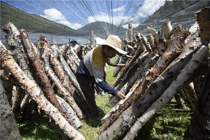 仁達鄉(xiāng).jpg 仁達鄉(xiāng).jpg