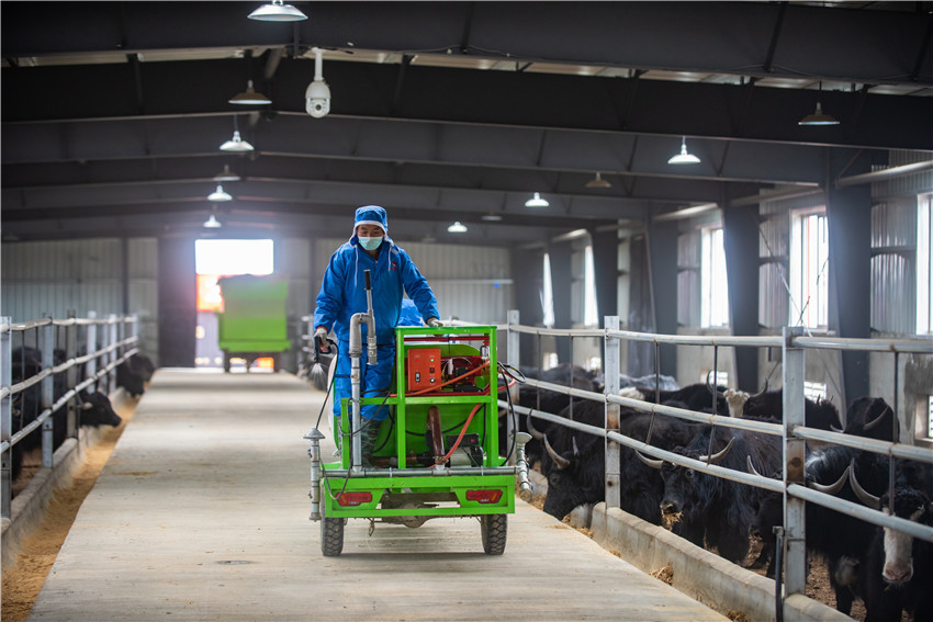 園區(qū)工作.jpg 園區(qū)工作.jpg